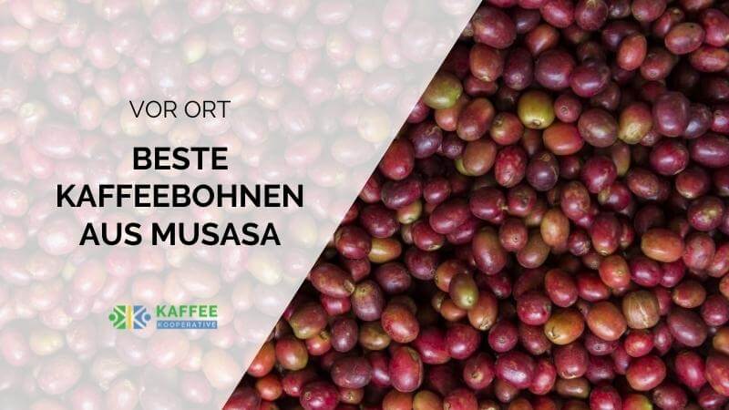 Qualität hat ihren Preis: Beste Kaffeebohnen aus Ruanda