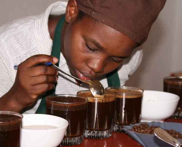 Kaffee Cupping in Ruanda