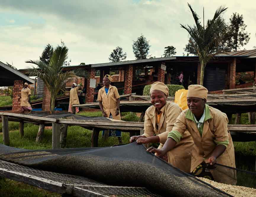 Kaffeekooperative in Ruanda