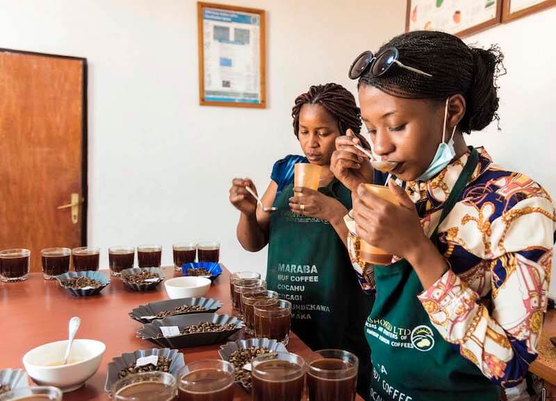 Cupping von Spezialitätenkaffee mit zwei Cupperinnen aus Ruanda