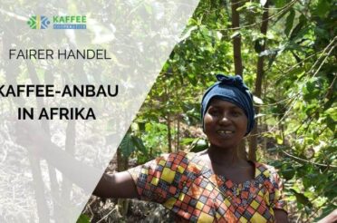 Die Lage von Kaffeebäuerinnen und -bauern in Afrika