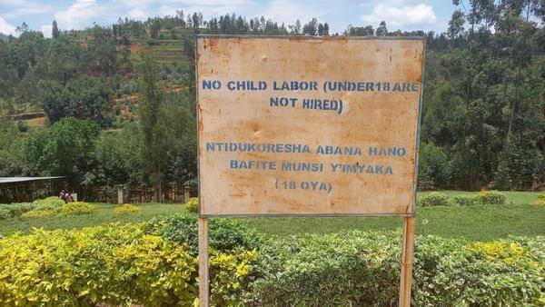 Schild keine Kinderarbeit in Ruanda
