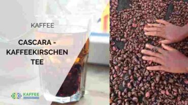 Cascara Kaffeekirschen Tee – Brühanleitung