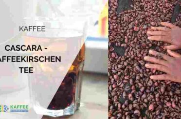 Cascara Kaffeekirschen Tee – Brühanleitung