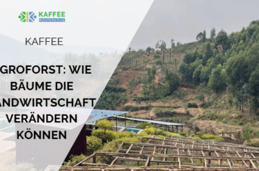 Agroforst: Wie Bäume die Landwirtschaft verändern können