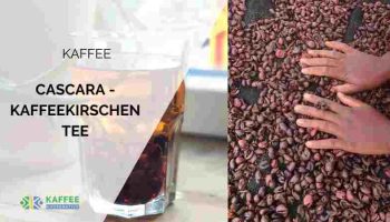 Blog-Header-Cascara