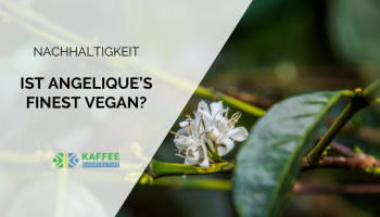 Blog Header