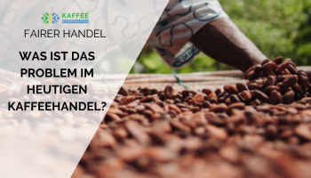 Blog Header
