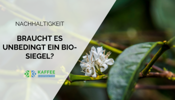 Blog-Header1