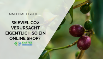 Blog-Header2