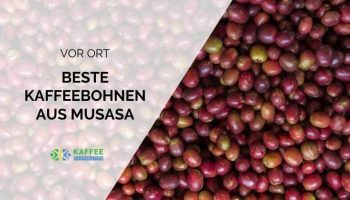 Bohnen Musasa Header