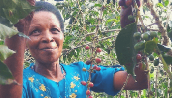 Marie Bedabasingwa auf ihrer Kaffeeplantage