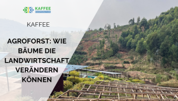 So helfen Bäume auf dem Feld