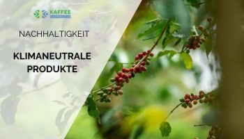 blog-klimaneutrale-produkte