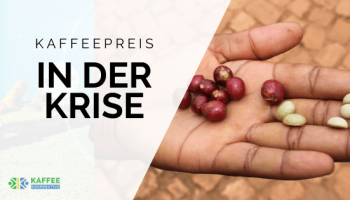 kaffee in der krise