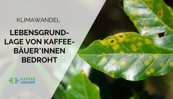 klimawandel kaffee