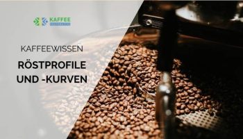 Kaffee rösten und Röstkurven