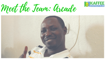 meet-the-team-arcade