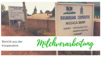 milchverarbeitung-blog